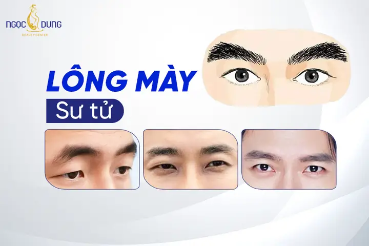 Tướng Mặt Sư Tử Tướng Mặt Sư Tử