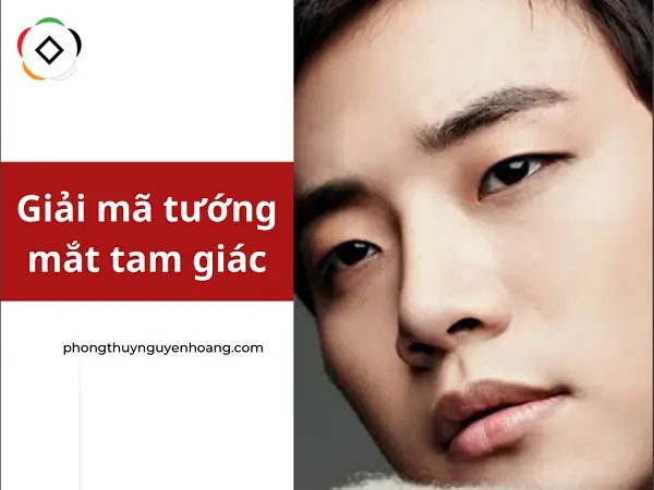 Tướng Mắt Tam Giác Tướng Mắt Tam Giác