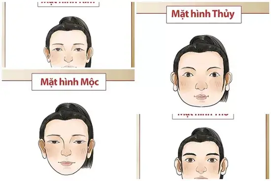 Tướng Mặt Theo Ngũ Hành