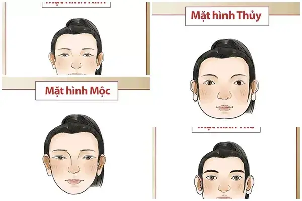 Tướng Mặt Theo Ngũ Hành