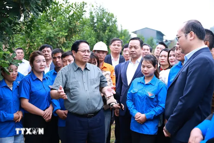 Tướng Mặt Vát Làm Quan Tướng Mặt Vát Làm Quan