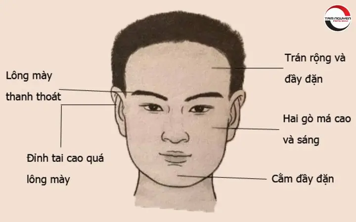 Tướng Mặt Xuất Ngoại