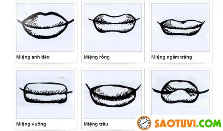 Tướng Miệng Cá Chép Tướng Miệng Cá Chép
