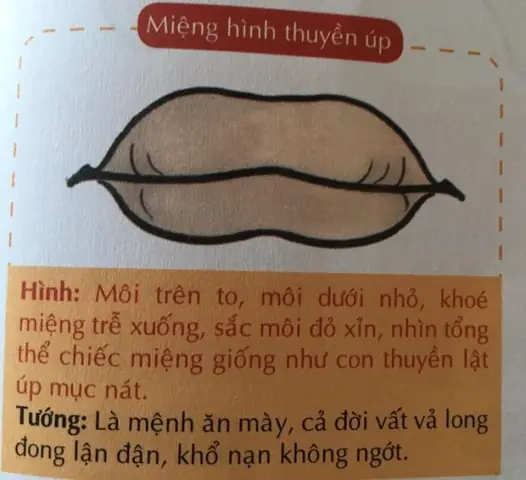 Tướng Miệng Đàn Ông Tướng Miệng Đàn Ông