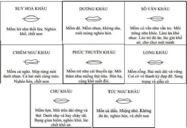 Tướng Miệng Đàn Ông Phú Quý