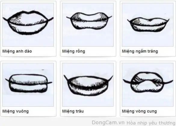Tướng Miệng Ngắm Trăng