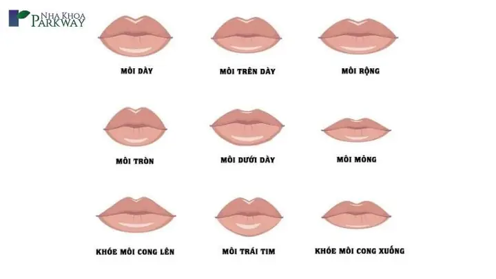 Tướng Miệng Rộng Môi Dày