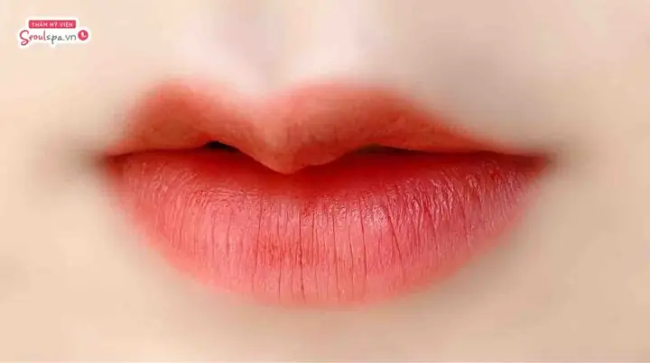 Tướng Môi Cánh Én