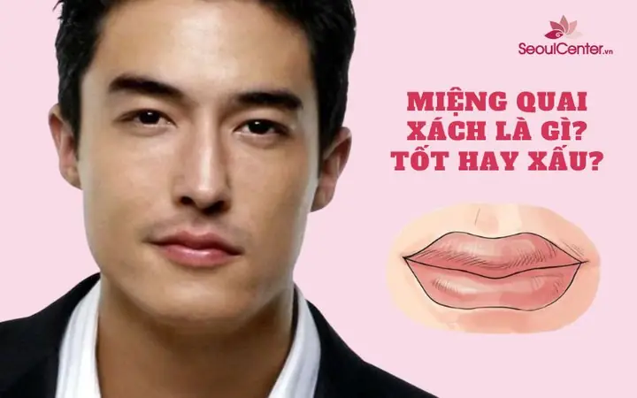 Tướng Môi Túi Vải Tướng Môi Túi Vải