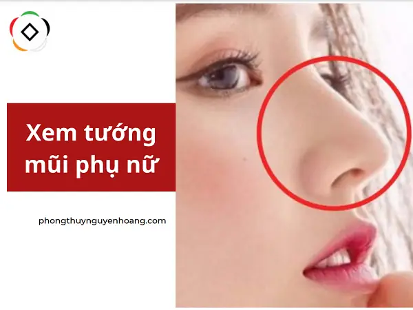 Tướng Mũi Cao Thẳng Nữ