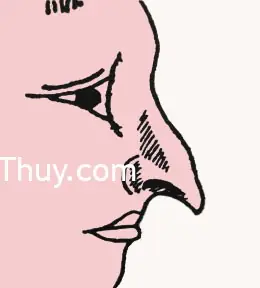 Tướng Mũi Chim Ưng Tướng Mũi Chim Ưng