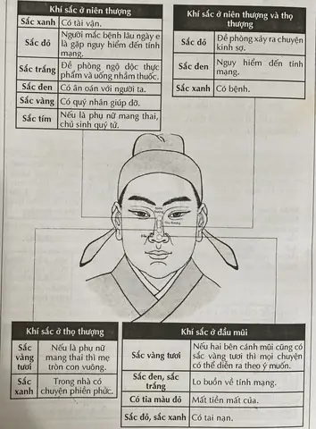 Tướng Mũi Có Nếp Nhăn
