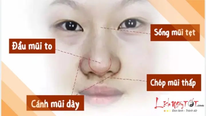 Tướng Mũi Củ Tỏi Tướng Mũi Củ Tỏi