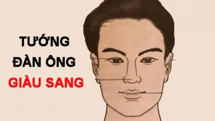 Tướng Mũi Đàn Ông Giàu