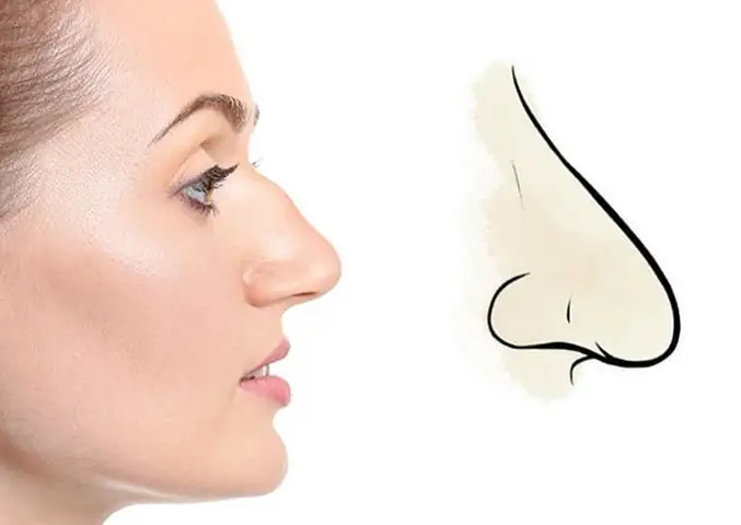 Tướng Mũi Gấp Khúc Tướng Mũi Gấp Khúc