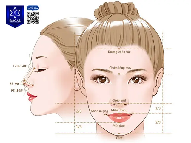 Tướng Mũi Kỵ Long