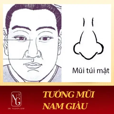 Tướng Mũi Làm Quan