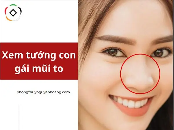 Tướng Mũi Phụ Nữ Nói Lên Điều Gì
