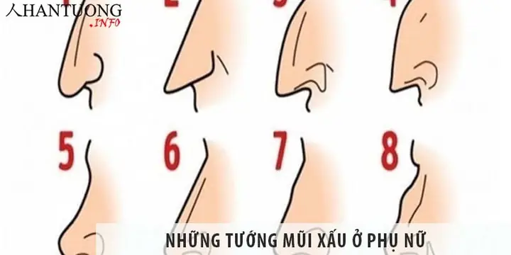 Tướng Mũi Phụ Nữ Xấu Tướng Mũi Phụ Nữ Xấu
