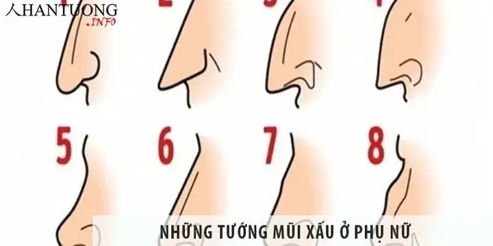 Tướng Mũi Xấu Của Phụ Nữ