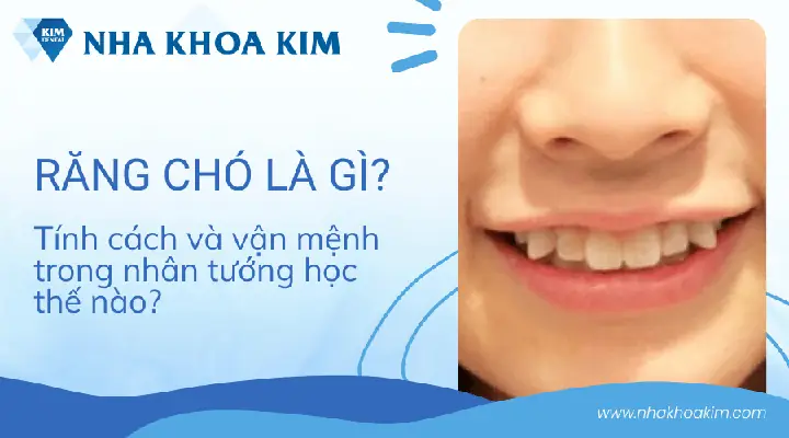 Tướng Răng Tính Cách