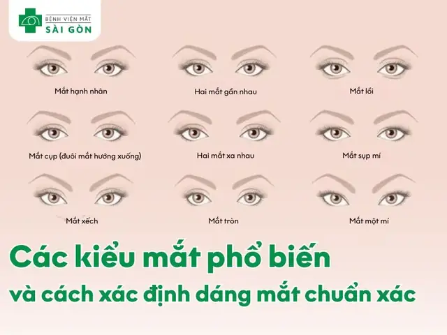 Tướng Số 2 Mắt Gần Nhau Tướng Số 2 Mắt Gần Nhau