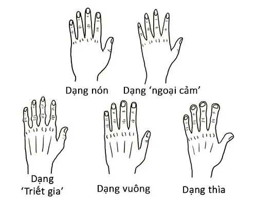 Tướng Số Bàn Tay