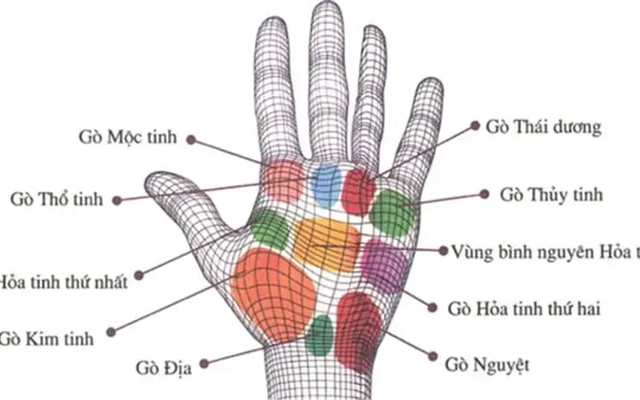 Tướng Số Bàn Tay Đàn Ông
