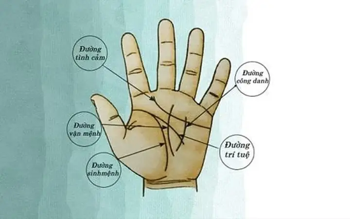 Tướng Số Bàn Tay Đàn Ông