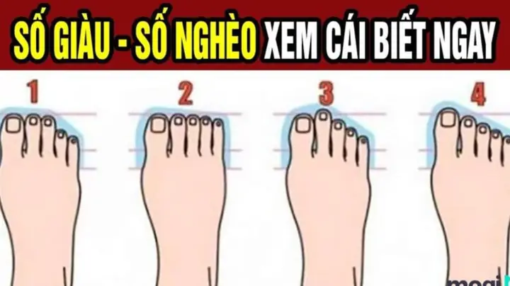 Tướng Số Chân Người