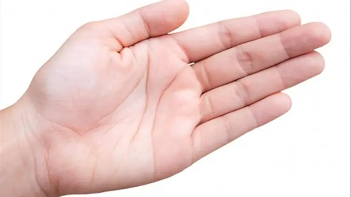 Tướng Số Chỉ Tay