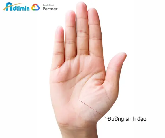 Tướng Số Của Các Đường Chỉ Tay Tướng Số Của Các Đường Chỉ Tay