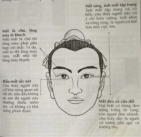 Tướng Số Của Người Sinh Ngược