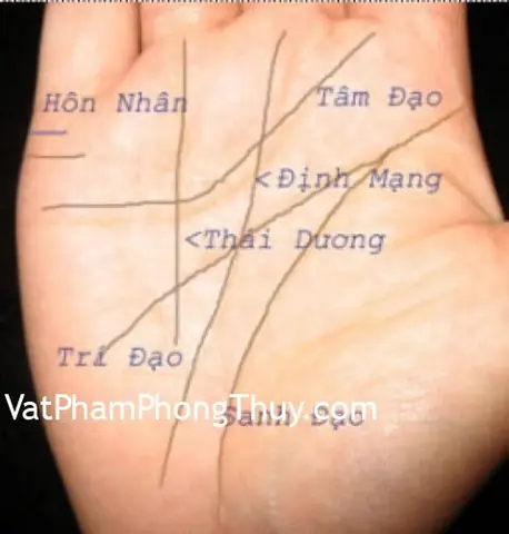 Tướng Số Đường Chỉ Tay