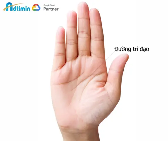 Tướng Số Đường Chỉ Tay
