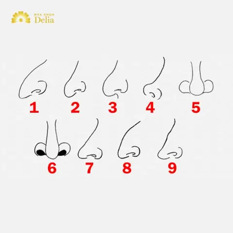 Tướng Số Học Khuôn Mặt Tướng Số Học Khuôn Mặt