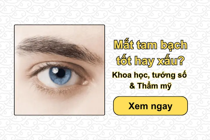 Tướng Số Khoa Học