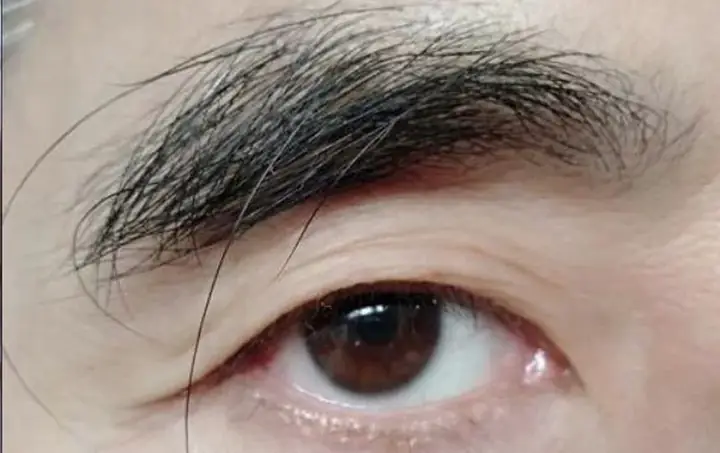 Tướng Số Lông Mày Dài