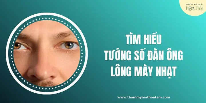 Tướng Số Lông Mày Nhạt Tướng Số Lông Mày Nhạt