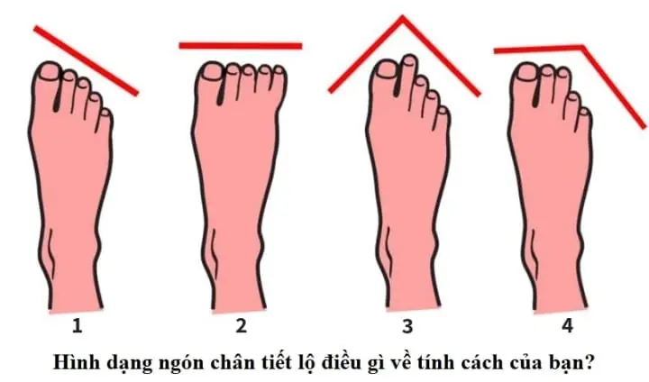 Tướng Số Ngón Chân Dài Tướng Số Ngón Chân Dài