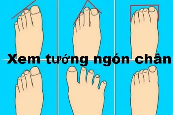 Tướng Số Ngón Chân Dài