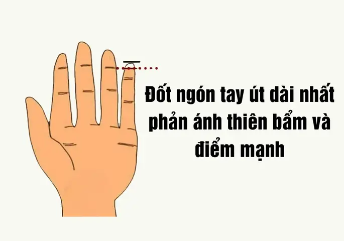 Tướng Số Ngón Tay Ngắn Tướng Số Ngón Tay Ngắn