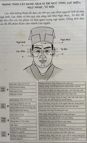 Tướng Số Ngũ Quan