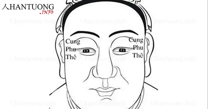 Tướng Số Người Cô Độc Tướng Số Người Cô Độc