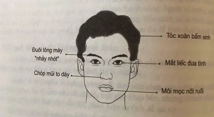 Tướng Số Người Có Nhiều Nếp Nhăn Khóe Mắt