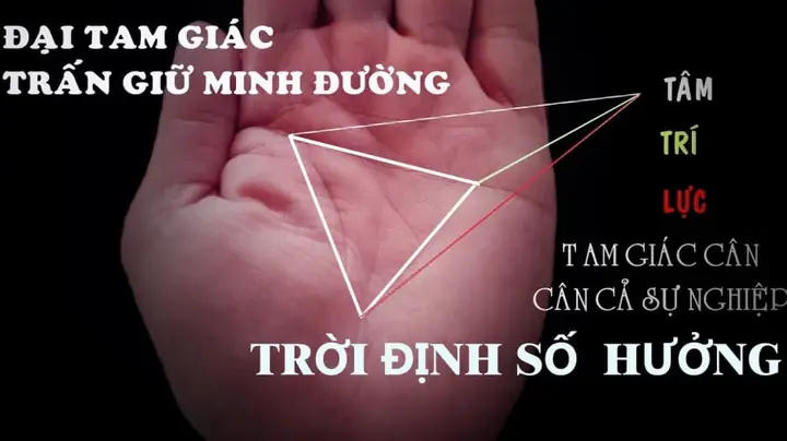 Tướng Số Người Hình Tam Giác