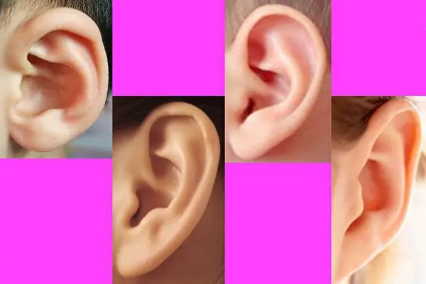 Tướng Số Người Tai Nhỏ Tướng Số Người Tai Nhỏ