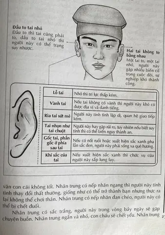 Tướng Số Người Tai Nhỏ Tướng Số Người Tai Nhỏ
