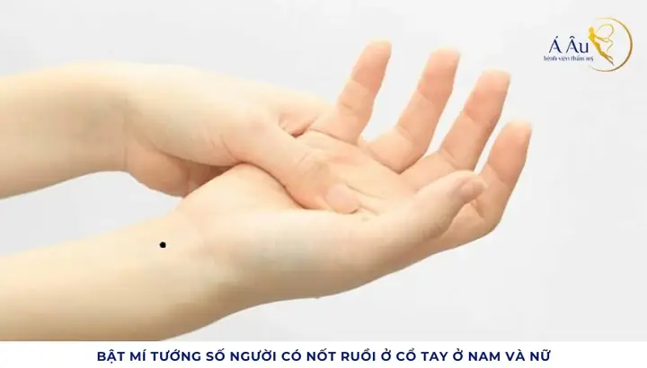 Tướng Số Nốt Ruồi Ở Cổ Tướng Số Nốt Ruồi Ở Cổ