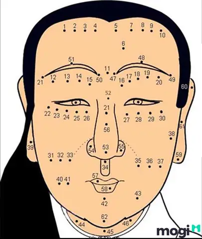 Tướng Số Nốt Ruồi Trên Mặt